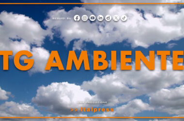 Tg Ambiente – 11/8/2024