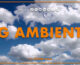 Tg Ambiente – 11/8/2024