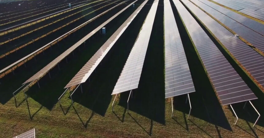 Pnrr, 600 richieste per bando agrivoltaico