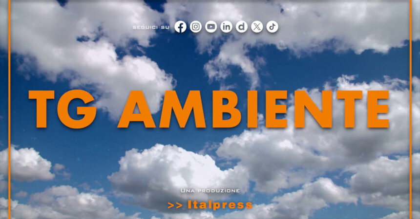 Tg Ambiente – 22/9/2024