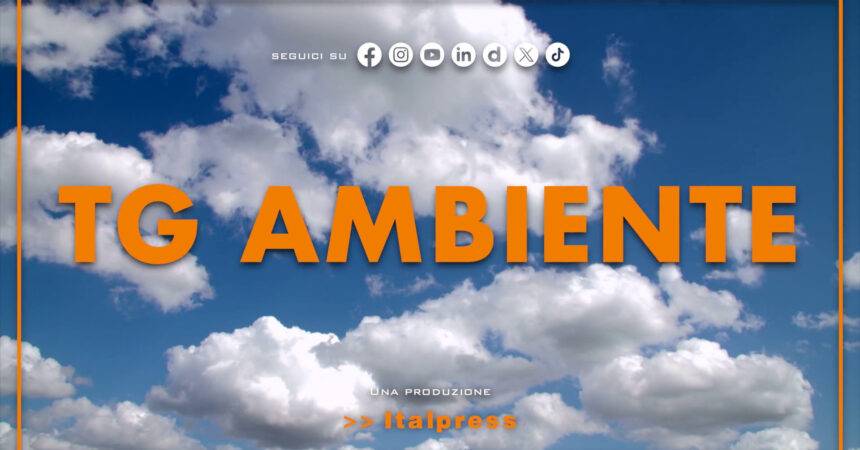 Tg Ambiente – 1/9/2024