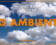 Tg Ambiente – 8/9/2024