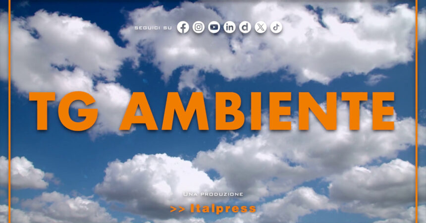 Tg Ambiente – 8/9/2024