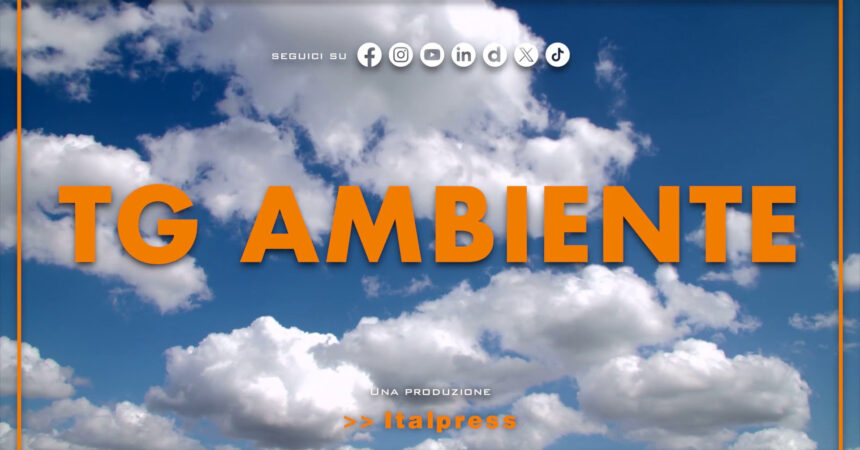 Tg Ambiente – 20/10/2024