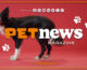 PetNews Magazine – 15/10/2024