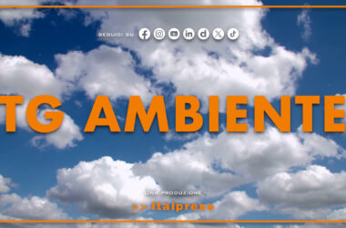 Tg Ambiente – 27/10/2024