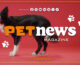 PetNews Magazine – 12/11/2024