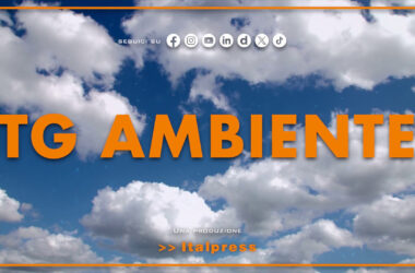 Tg Ambiente – 10/11/2024