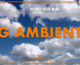 Tg Ambiente – 10/11/2024