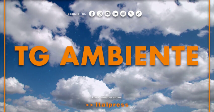 Tg Ambiente – 10/11/2024