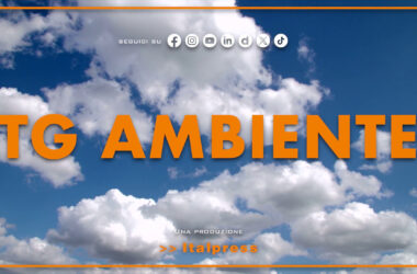 Tg Ambiente – 17/11/2024