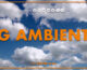 Tg Ambiente – 3/11/2024