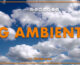 Tg Ambiente – 29/12/2024