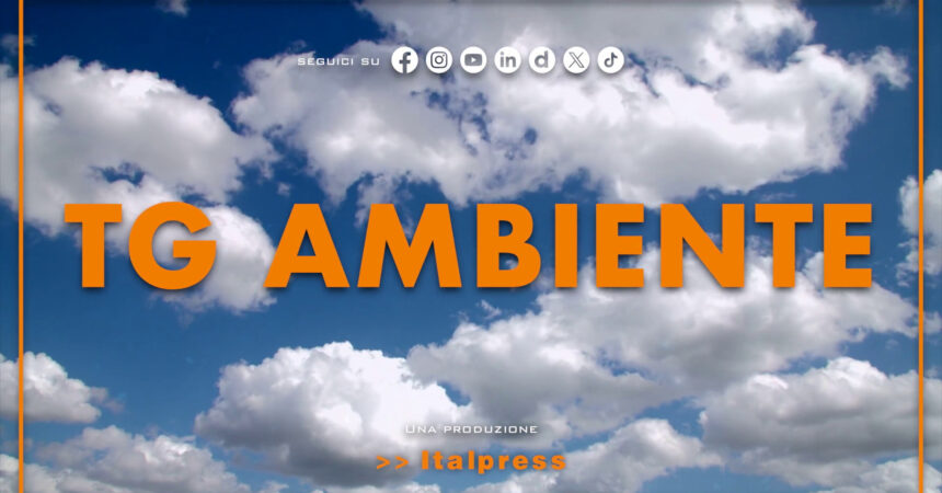 Tg Ambiente – 29/12/2024