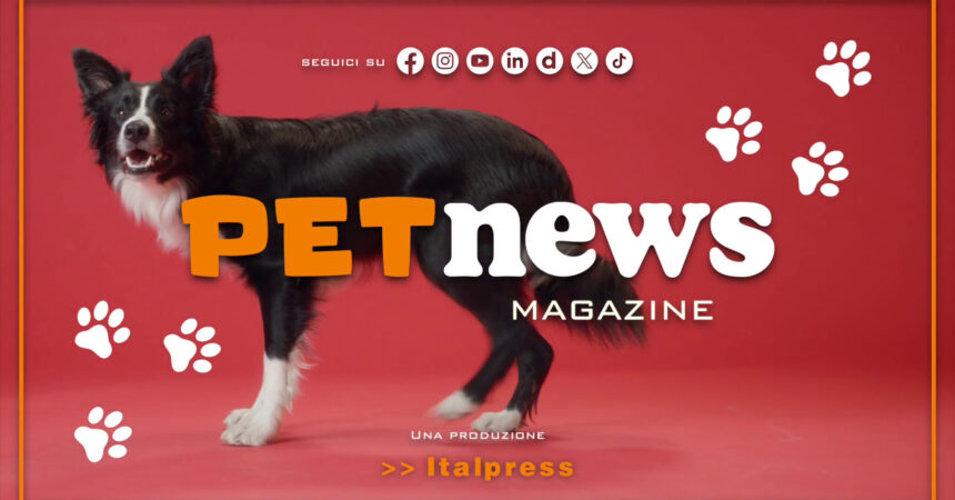 PetNews Magazine – 3/12/2024