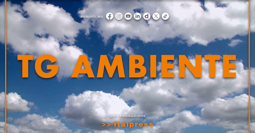 Tg Ambiente – 15/12/2024