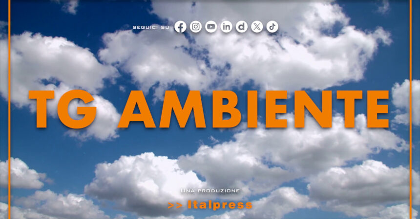 Tg Ambiente – 1/12/2024