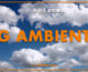 Tg Ambiente – 5/1/2025