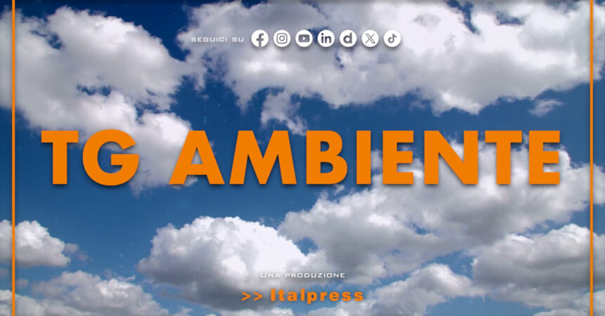 Tg Ambiente – 5/1/2025