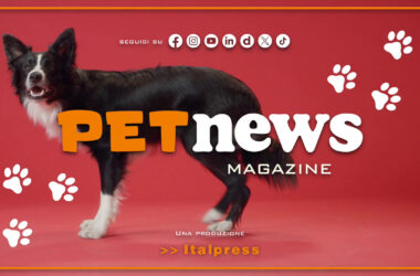 PetNews Magazine – 7/1/2025