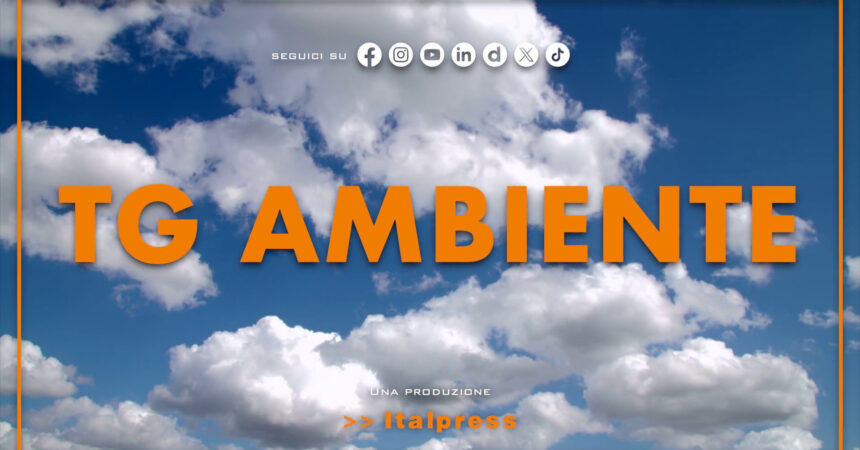 Tg Ambiente – 12/1/2025